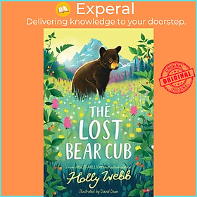 Sách - The Lost Bear Cub by Holly Webb (author),David Dean (illustrator) (UK edition, Paperback)