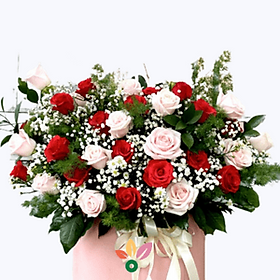 Mua Giỏ Hoa Khai Trương – 234