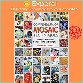 Sách - Compendium of Mosaic Techniques - 300 Tips, Techniques, Trade Secret by Bonnie Fitzgerald (UK edition, paperback)