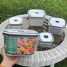 Mua Hộp kèm rổ đựng thực phẩm  bảo quản rau củ quả tủ lạnh  Hộp đựng thực phẩm tủ lạnh cao cấp  2 lớp chống úng