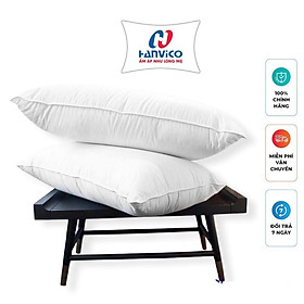 Mua Ruột gối lông vũ tự nhiên HANVICO kháng khuẩn Nano Bạc cao cấp