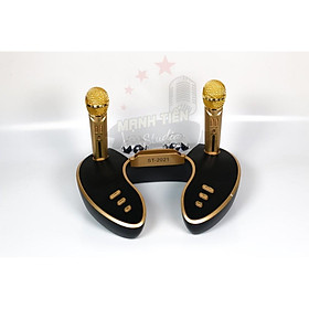 Mua Loa bluetooth cao cấp ST 2021 - Dàn âm thanh karaoke mini kèm 2 đèn led sống động