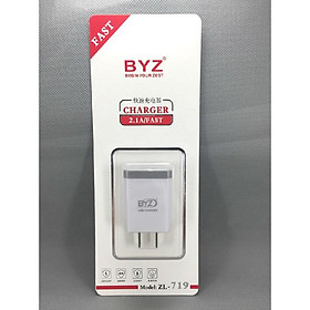 Mua Củ sạc BYZ ZL-719 - hàng chính hãng