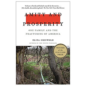 Amity and Prosperity: One Family and the Fracturing of America - Winner of the Pulitzer Prize for Non-Fiction 2019