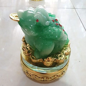 Mua Cóc thiềm thừ màu xanh