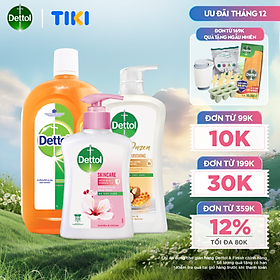 Combo chăm sóc gia đình: Dung dịch diệt khuẩn đa năng 1L + Sữa tắm kháng khuẩn dưỡng thể 950g + Nước rửa tay kháng khuẩn chăm sóc da 250g