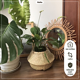 Giỏ cói DECOR nhà cửa - Trồng cây cảnh GCD01-S