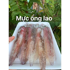 [Chỉ giao HCM] Mực ống Phú Quốc - 1kg