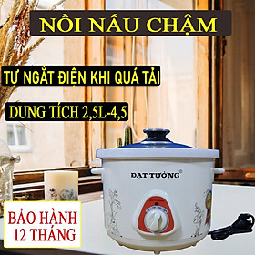 Mua Nồi Nấu Chậm  Nồi Kho Cá Đa Năng  Hầm Gà Nguyên Con  Nồi Nấu Cháo Cao Cấp  Slow Cooker Đạt Tường