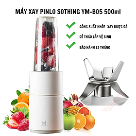 Máy xay sinh tố Pinlo Sothing YM-B05 500ml, 6 lưỡi thép không gỉ, công suất xay 500w- Hàng chính hãng