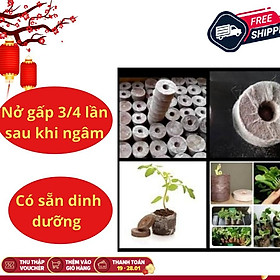 Set 100 viên nén ươm hạt xơ dừa