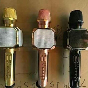 Mic hát Sd 10