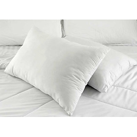 Mua Ruột gối nằm 40cm x 60cm