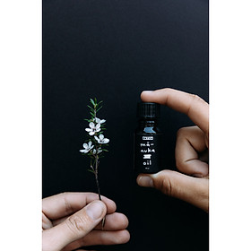 TINH CHẤT MANUKA