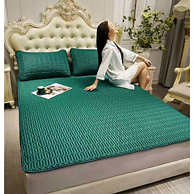 Chiếu vải lụa Tencel mịn mát hàng loại 1 êm ái thoáng mát giải nhiệt mùa hè, giúp bạn có giấc ngủ ngon trọn vẹn có cả áo gối, shop bán nguyên bộ