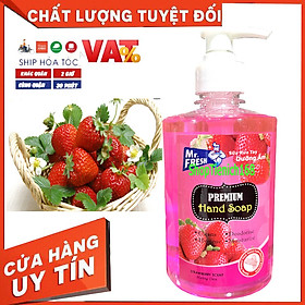 Nước rửa tay Premium Hand Soap Mr Fresh 500ml - an toàn cho da tay