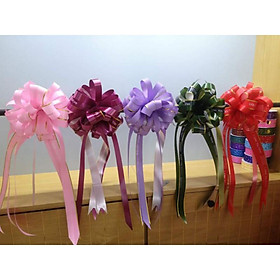 Mua 1 hộp 10 cái nơ rút tú cầu