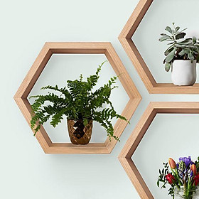 Mua 1 Ô Kệ Tổ Ong Trang Trí Tiện Lợi Nhiều Size