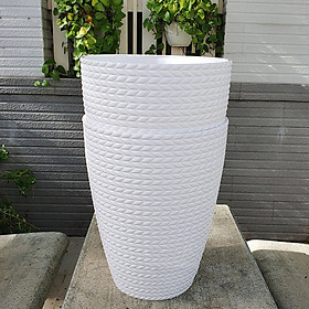 Bộ 02 chậu bông lúa trắng 33x41cm nhựa dày đẹp trồng hoa kiểng, cây ăn trái