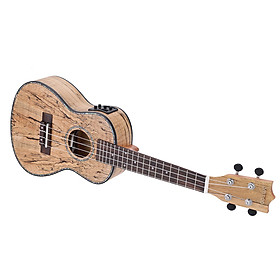 Đàn Ukulele 4 Dây Ammoon (24 Inch)