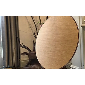 Mua Loa Bang & Olufsen Beoplay A9 MK4 ( HÀNG CHÍNH HÃNG ) NEW 100
