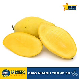 Xoài Cát Hoà Lộc Trái 650g