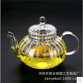 Mua (HÀNG ĐẸP) Ấm lõi lọc thuỷ tinh soắn 600ml