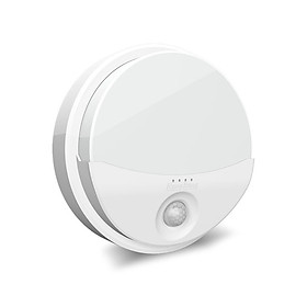 Đèn LED Gắn Tường Cảm Biến 15W Rạng Đông