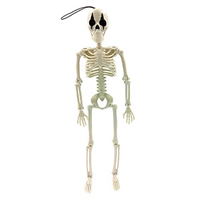 Skeleton, Halloween Hanging Skeleton, Pendant Party Ornaments 16