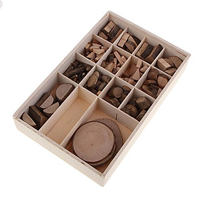 Hình ảnh A Box of Mixed Styles Natural Rustic Wood Log Slices Disc DIY Craft Supplies