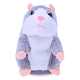 Chuột hamster biết nói
