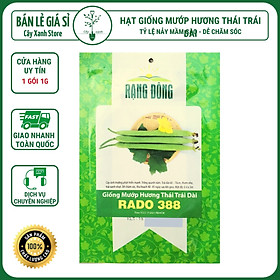 Mua Hạt Giống Mướp Hương Thái Lan Trái Dài 1gr - Trồng Rau Xanh Rau Sạch Bằng Đất Sạch  Mùn Dừa  Phân Bón Hữu Cơ
