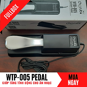 Mua Pedal Dậm Vang Cho Đàn Organ Và Piano Điện (Fullbox)