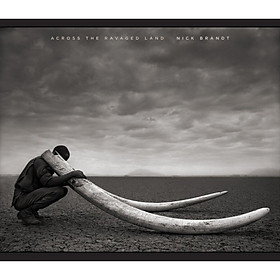 Across the Ravaged Land