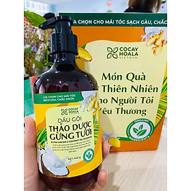 Dầu gội thảo dược gừng dừa Cocayhoala hỗ trợ trị gàu, hết ngứa, dung tích 440g-95% thành phần từ gừng tươi hữu cơ còn nguyên xơ gừng, hỗ trợ trị rụng tóc, kích thích mọc tóc vượt trội, an toàn cho mẹ bầu mẹ sau sinh