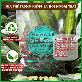 Mua Mua 5 tặng 1  Giá thể trộn sẵn chuyên cho cây lá kiểng. cây nội thất