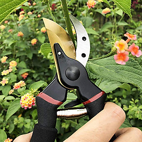 Mua Kìm kéo cắt cành chất lượng cao