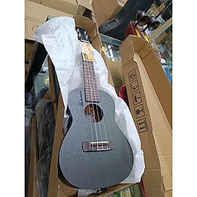 Mua Đàn ukulele concert yael size 23 