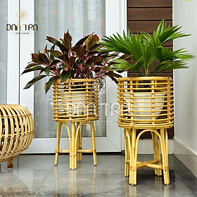 Mua Kệ Mây Đựng Cây Đan Trà - Kệ Mây Trang Trí Đan Trà- Kệ Mây Decor Không Gian Xanh- Đan Trà Decor