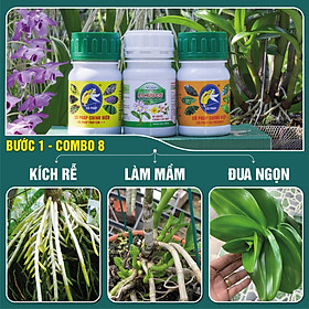 BƯỚC 1 COMBO8 100 - Phân bón kích rễ, mầm, phục hồi cây yếu, phát triển thân lá trên hoa cảnh (100g/ml/chai)