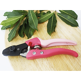 Mua Kéo cắt hoa quả Chikamasa AC-4P   chuyên dành cho hoa giả
