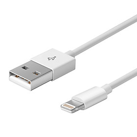 Dây Cáp NetEase Chuẩn Apple MFi Hỗ Trợ iPhone 5/6s/7/Plus/iPad - 2m/ Trắng