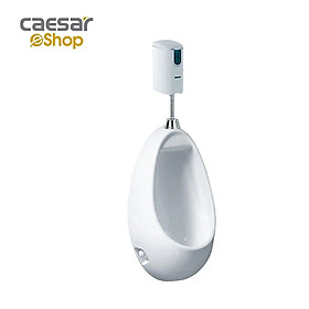 Mua Bệ Tiểu Nam Treo Tường CAESAR U0221