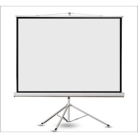 Mua Màn máy chiếu 100inch đủ tỉ lệ Treo tường/ Di động hiệu Apollo - Hàng nhập khẩu