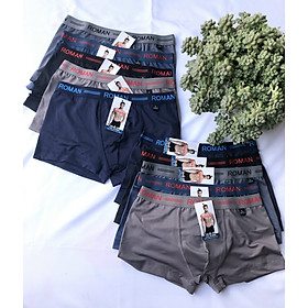 Combo 10 quần lót nam đùi Boxer 05 màu,lưng thun 3cm, chất vải thun lạnh 04 chiều co dãn tốt,thoáng mát(Heroman&Tony)