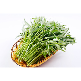 Bộ 10 hạt giống rau muống lá tre - The Xanh
