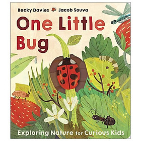 Download sách One Little Bug: Exploring Nature For Curious Kids