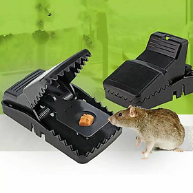 Dụng cụ bẫy, bắt chuột thông minh - rất chắc chắn