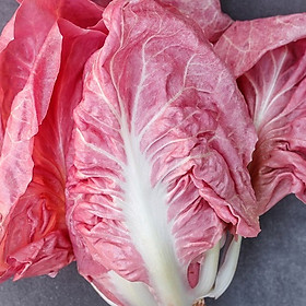 Mua Hạt giống xà lách Diếp Hồng VTP60