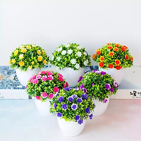 Chậu cây hoa mini để bàn làm việc kích thước 15x14cm